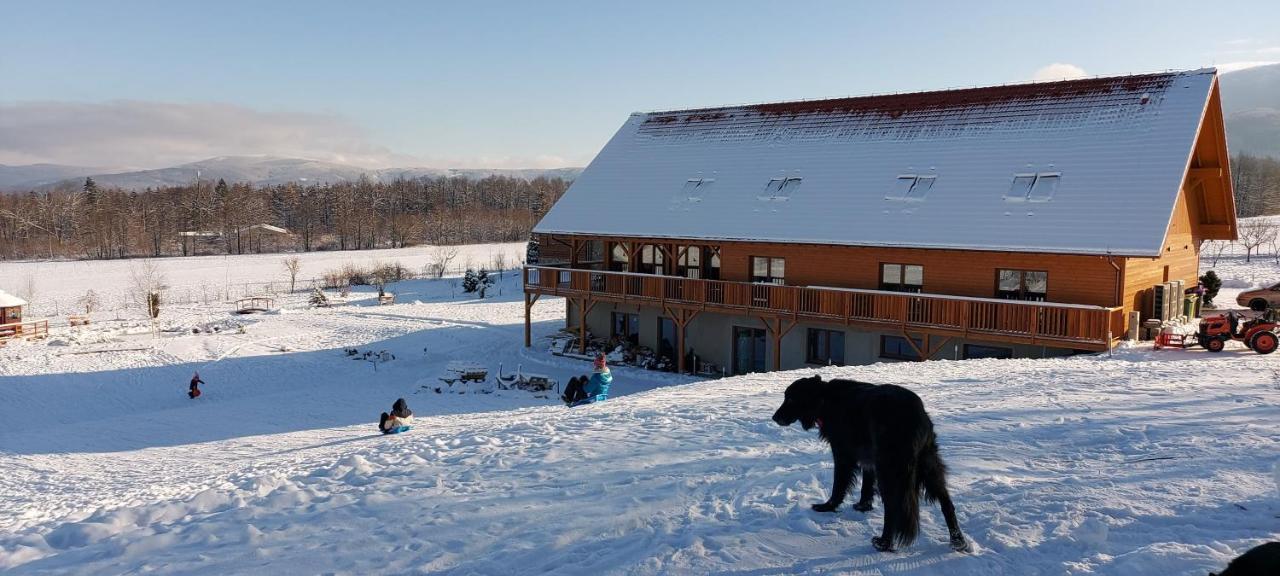 B&B Dom Z Bali Miłków Εξωτερικό φωτογραφία